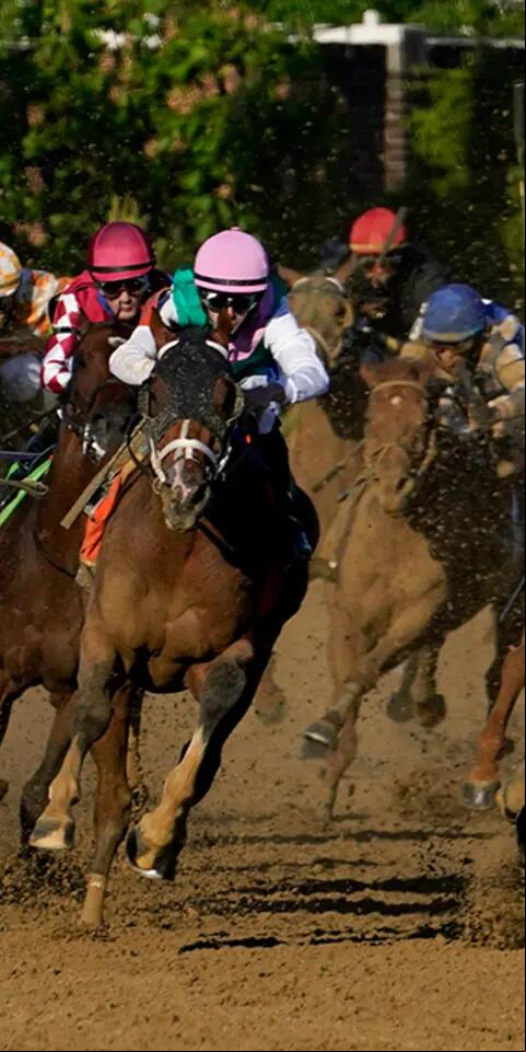 Kentucky Derby odds
